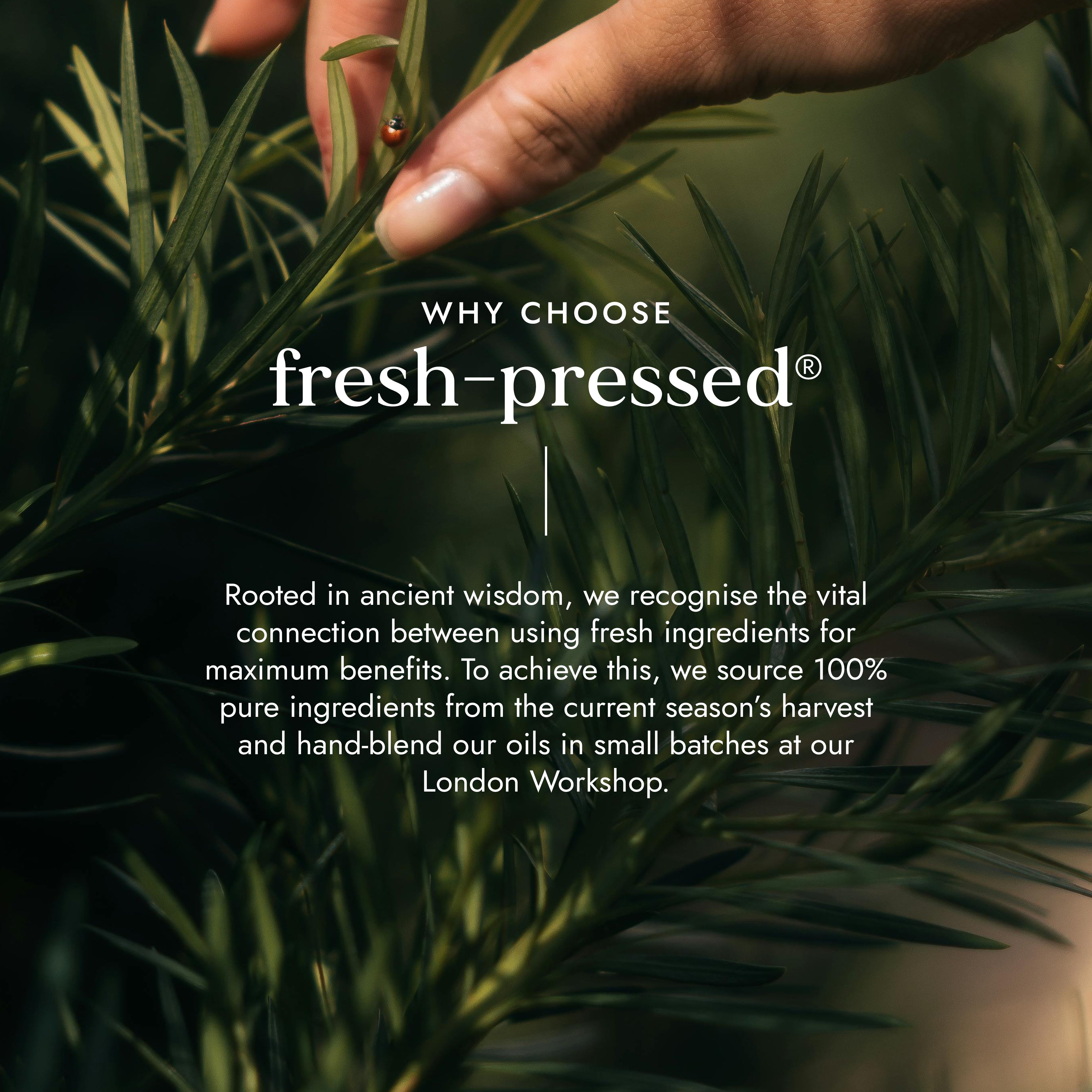 Argan & Amalaki Conditioner 230ml