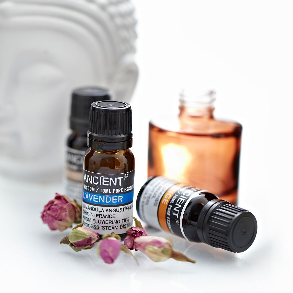 10ml Lavender Essential Oil | Pure & Calming | Burnt Orchid Organics