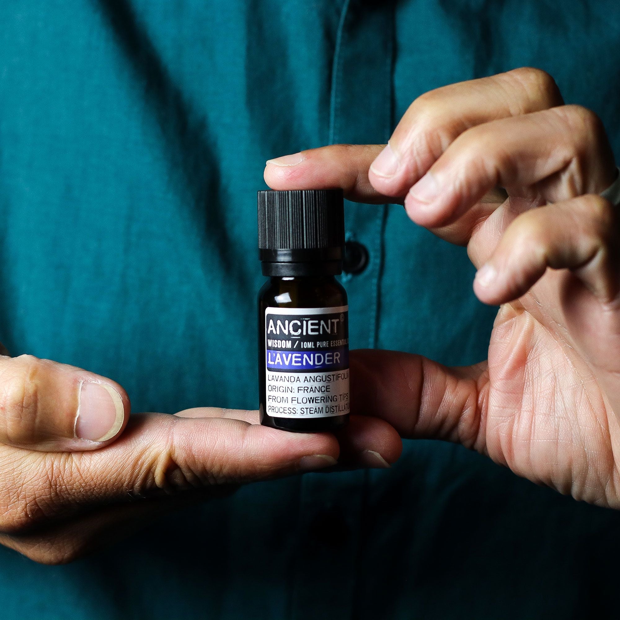 Set of Lavender, Tea Tree & Rosemary Essential Oils - 10ml Each - Burnt Orchid Organics