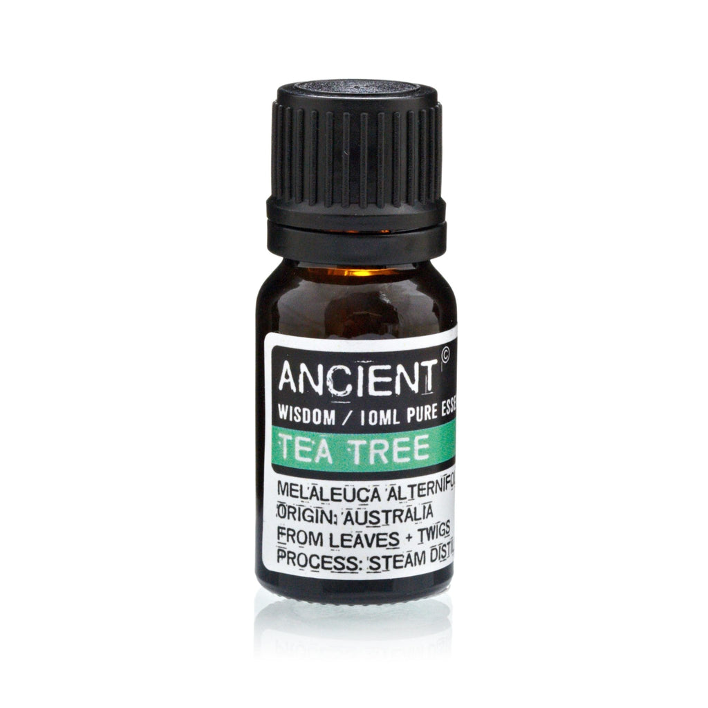 Set of Lavender, Tea Tree & Rosemary Essential Oils - 10ml Each - Burnt Orchid Organics