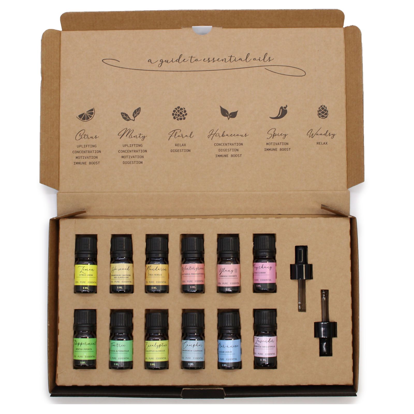 Aromatherapy Essential Oil Set - Starter Pack - Burnt Orchid Organics