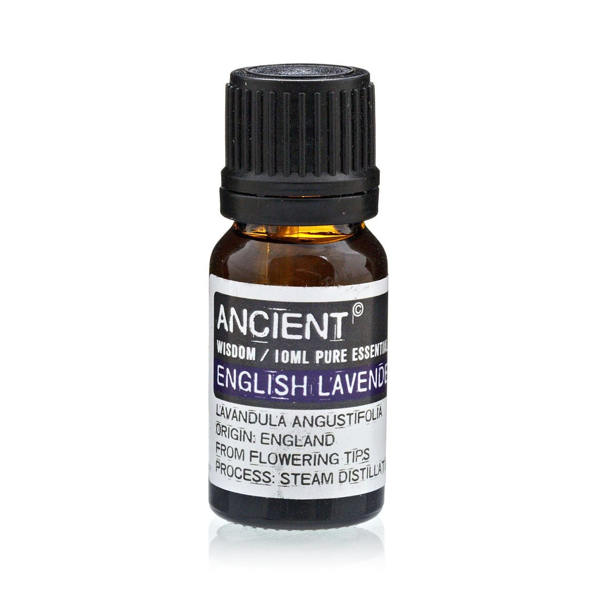 English Lavender Essential Oil 10ml - Burnt Orchid Organics