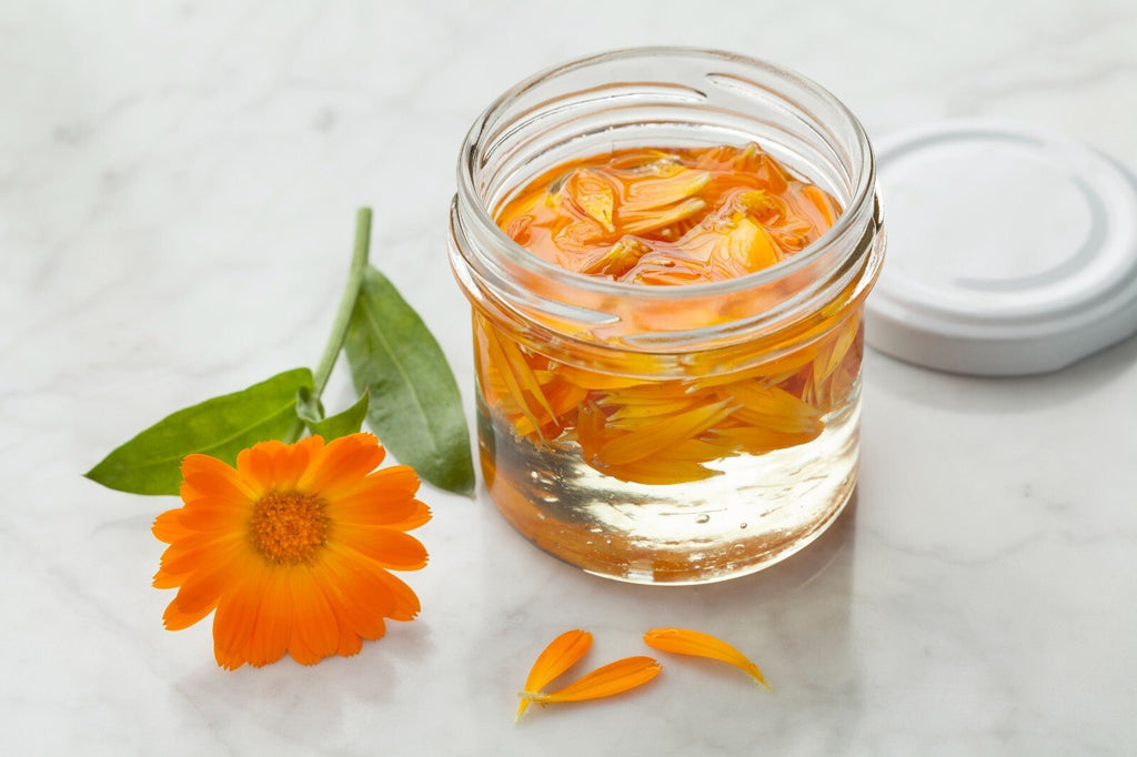 Arnica Massage Oil - Pain Relief & Healing - Anti-Inflammatory - Made By Hand